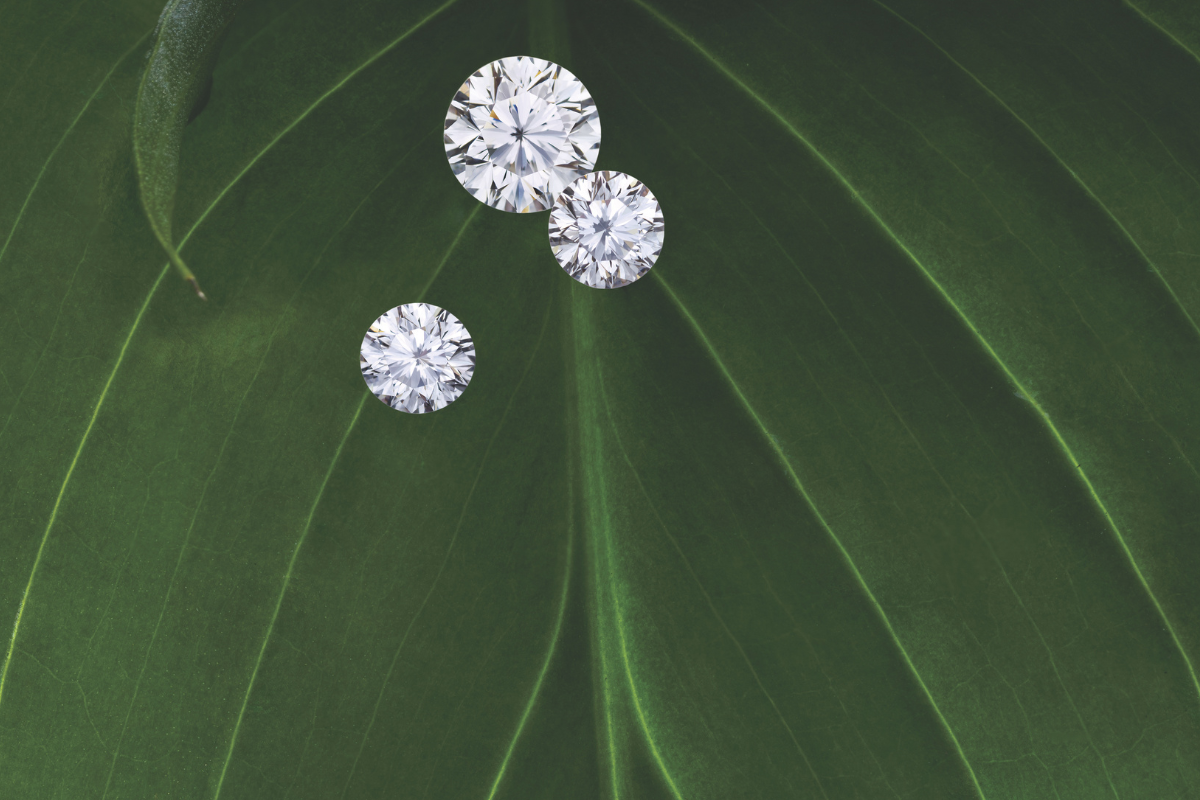 Loose lab-grown diamonds on green leaf which diamonds sparkle the most - Soha Diamond Co. Jewelry Store in Madison, Wisconsin