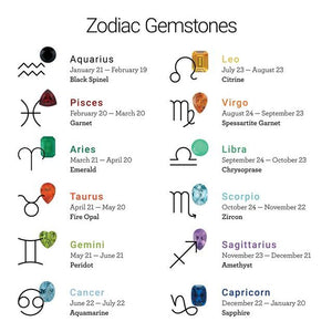 Zodiac Gemstone Disc Necklace